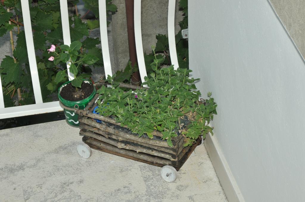 Apartments La Dolce Vita Herceg Novi Kültér fotó